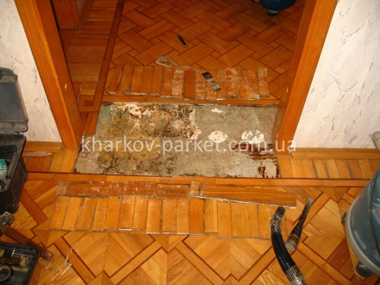 IMG_5889 копия.jpg
