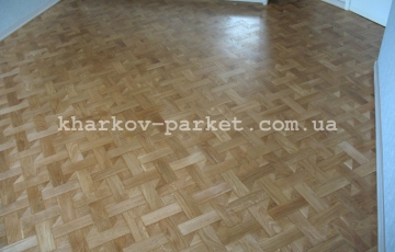Дуб плетенка